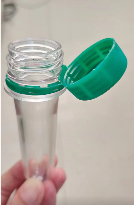 الصورة التالية